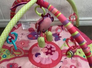 Giggle Garden Activity Gym