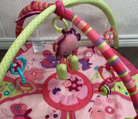 Giggle Garden Activity Gym