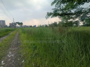 Rajuk Purbachal Sector-25, Government Service 3 Katha Plot Sale