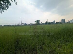 Low budget plot in Sector 28. South-facing 3 Katha.