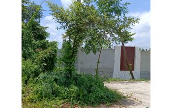 Front Open 5 Katha Park North at Sector-29