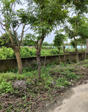 10 Katha Land at Affordable Price in Purbachal