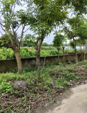 10 Katha Land at Affordable Price in Purbachal